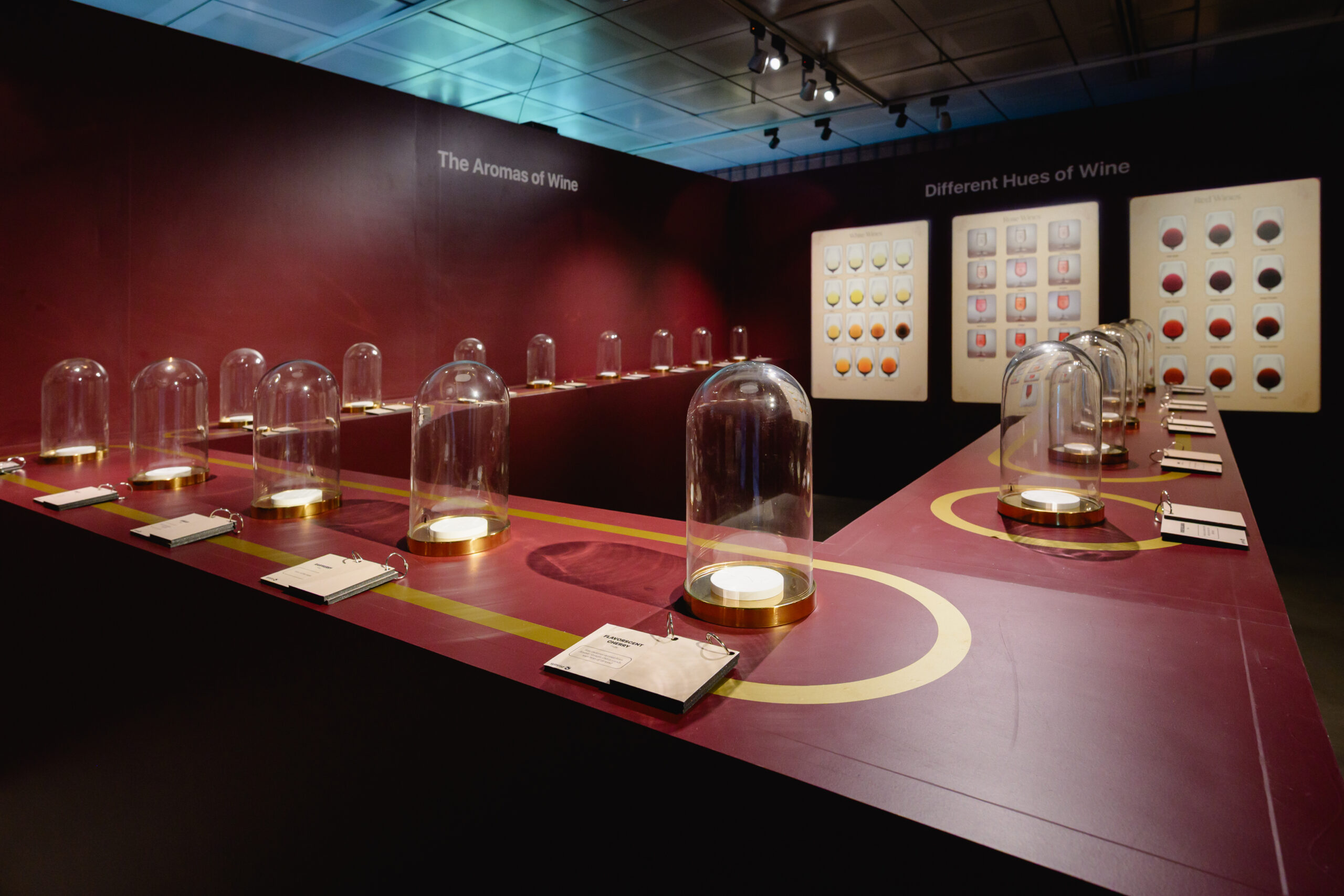 À TABLE ! – FROM VINES TO WINE