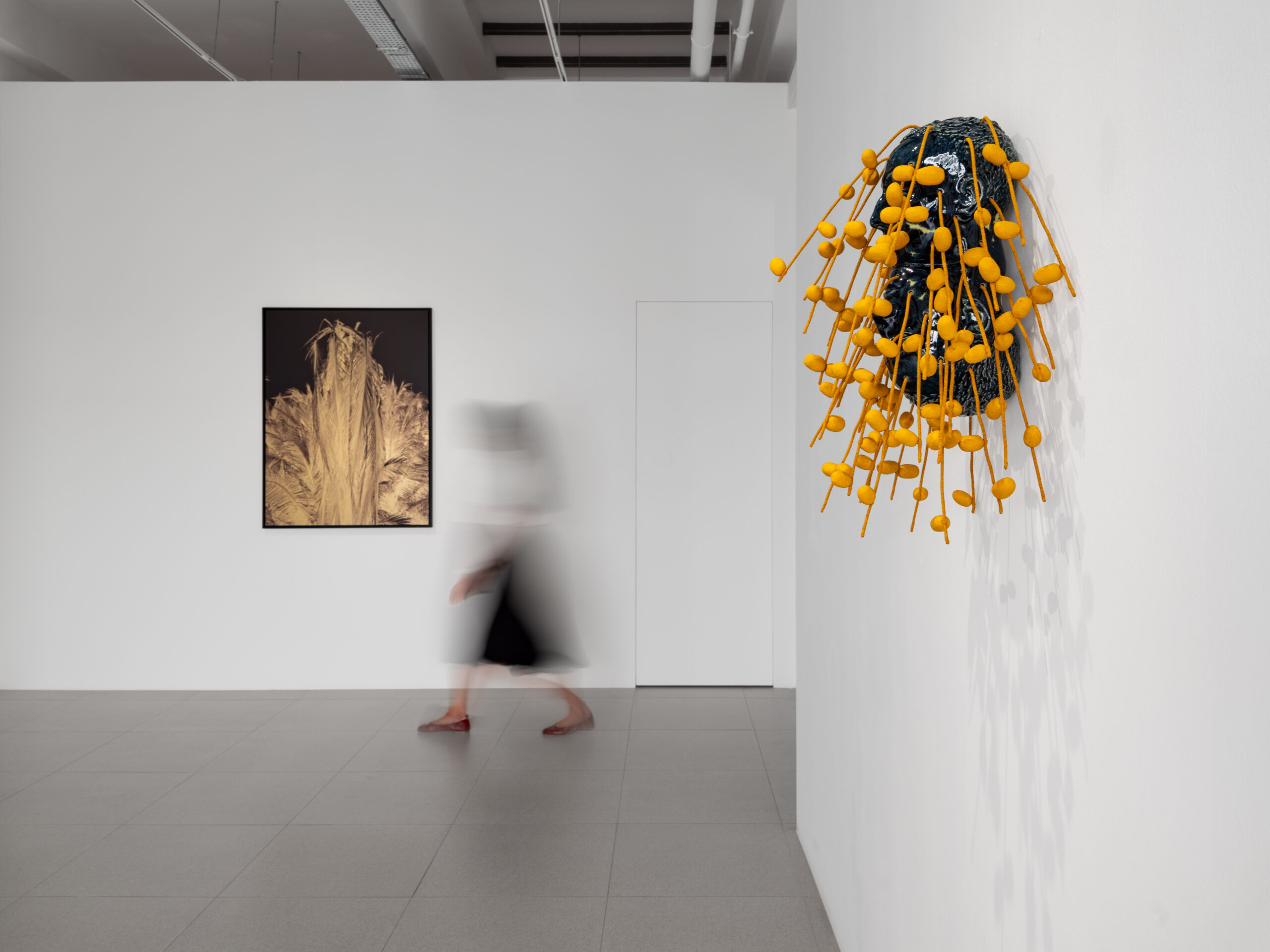 Palma: The Conference of the Palm Trees