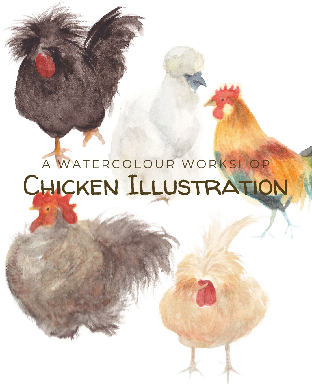 Chicken Illustration Workshop by Rachel Oon